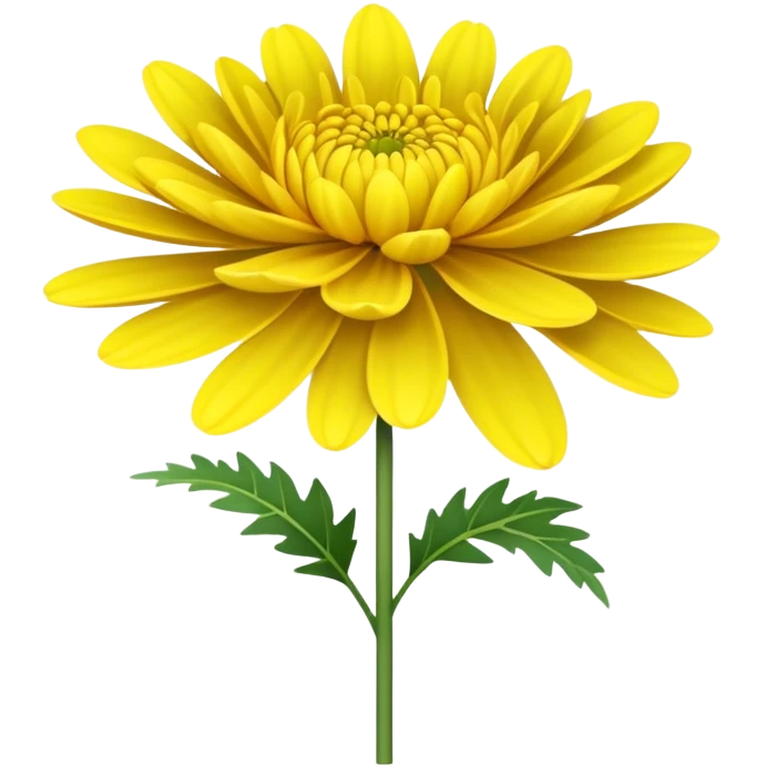 single Bright Yellow Chrysanthemum, straight stem emoji