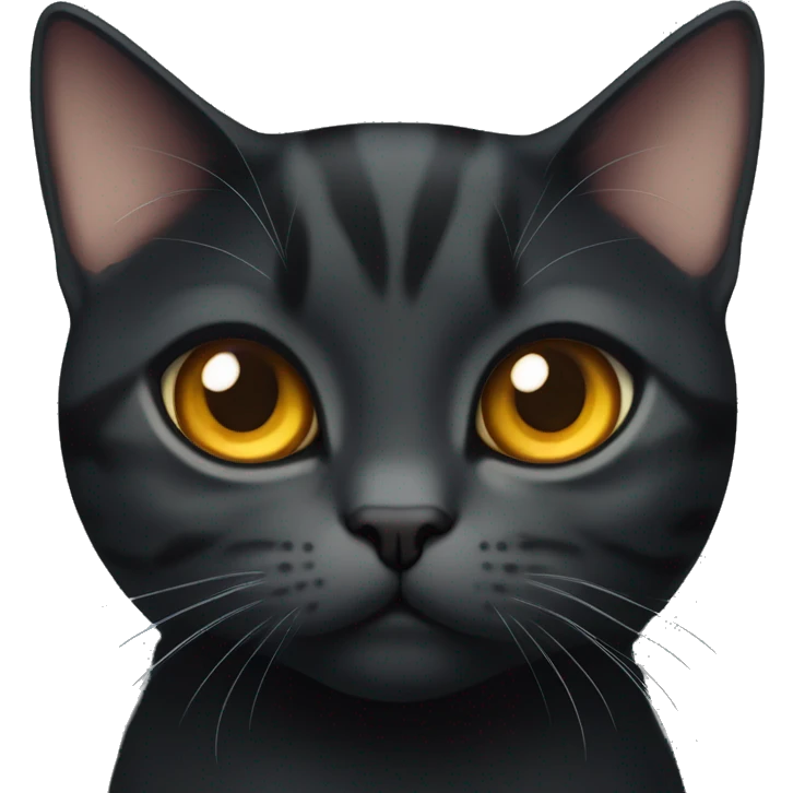 a pure black cute American shorthair cat with amber color eyes emoji