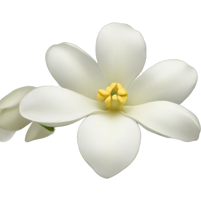 Flower michelia alba emoji