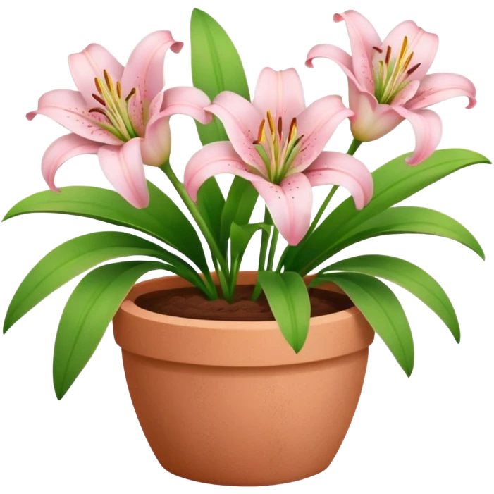 light pink lily flowers in a clay pot emoji