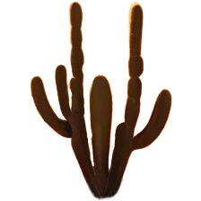Cinematic Realistic Desert Emoji in a frame, Expansive and arid, with vast stretches of golden sand dunes and scattered cacti, the sun casting a warm, almost orange glow over the dry, cracked earth. The horizon blurs into a heat shimmer, while the occasional desert flower adds a splash of color to the barren landscape. Soft glowing outline, capturing the essence of the harsh yet stunning beauty of the desert, calm and quiet, filled with silence and mystery. emoji
