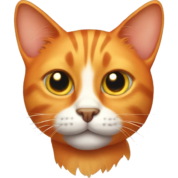 One eyed orange cat emoji