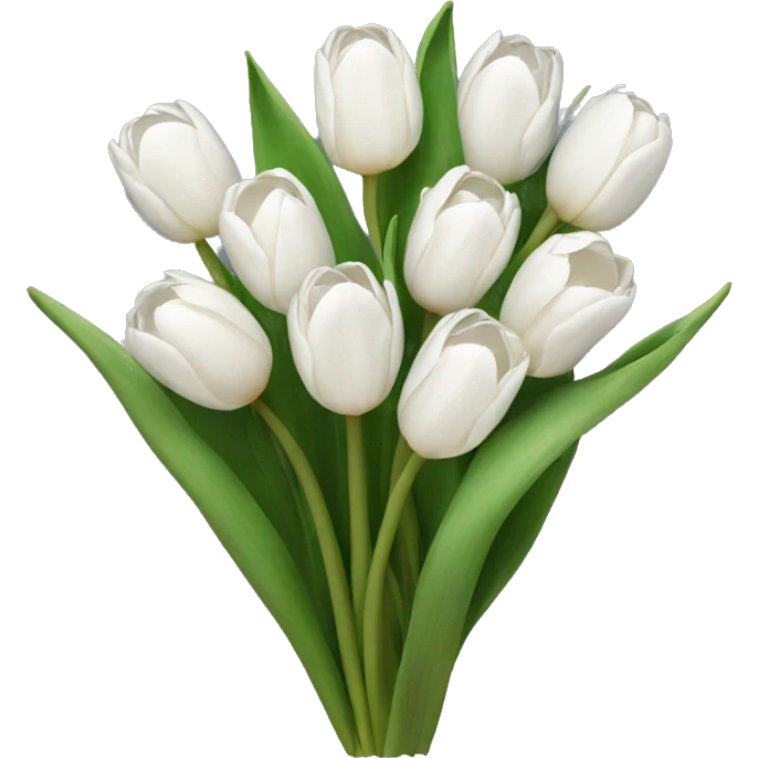 white tulip bouquet  emoji