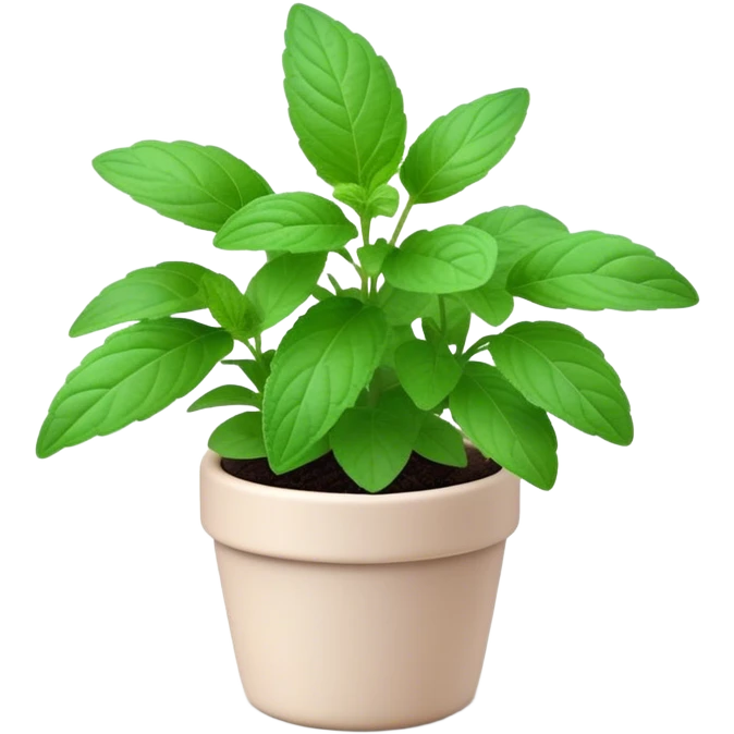 Cinematic Realistic Mint Emoji, Fresh and lively, with deep green leaves covered in tiny veins, emanating a cool, refreshing aroma. The plant’s soft, rounded edges sway gently in the breeze, inviting calm and relaxation. Soft glowing outline, capturing the essence of freshness and cooling fragrance in a fragrant mint plant! emoji
