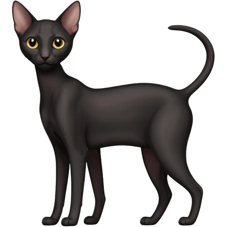 Black oriental shorthair emoji