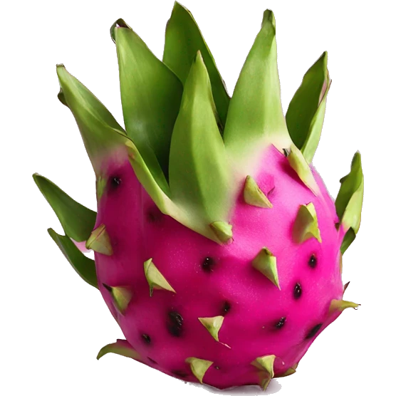 Dragon fruit emoji