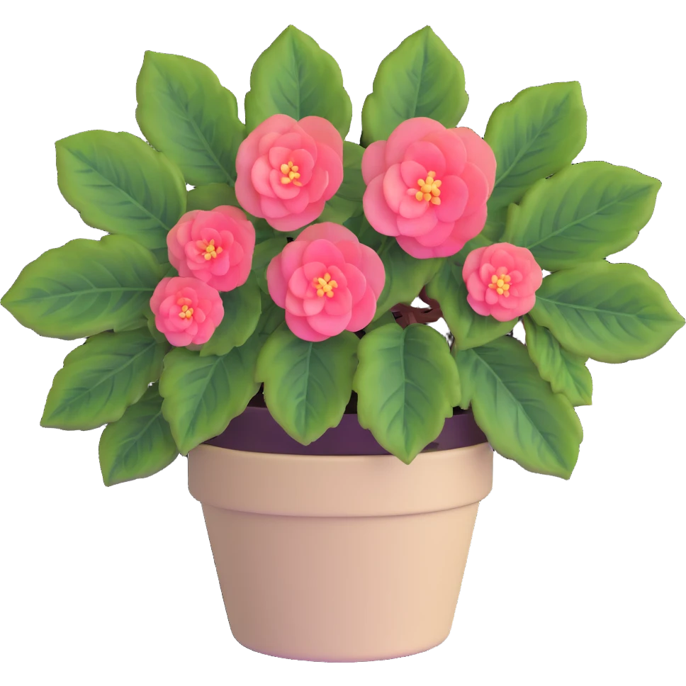 Begonia Rex with greenish-purple spiral center leaves in a beige pot emoji