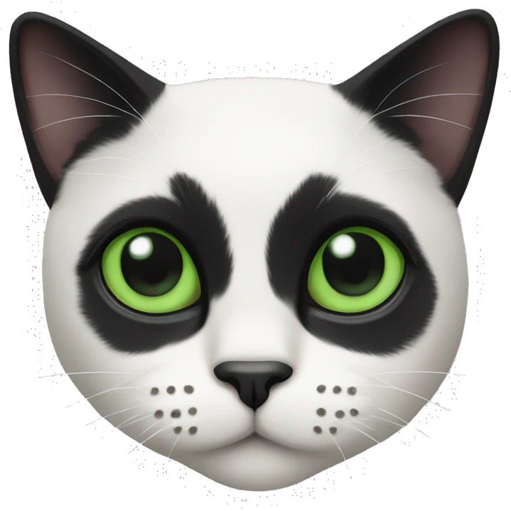 Tuxedo cat with black nose and green eyes emoji