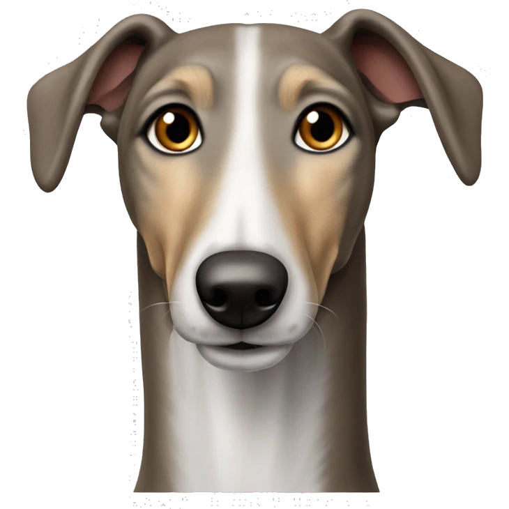 brown and white lurcher grey hound cross dog  emoji