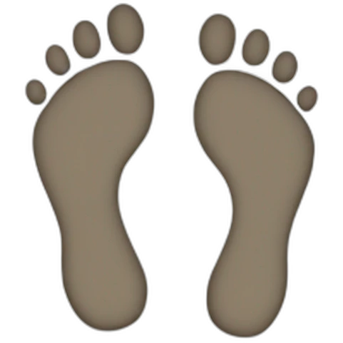 footprints emoji