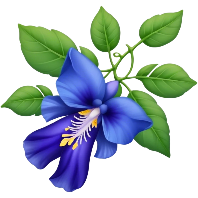 big single Blue Butterfly Pea flower, stem, leaf emoji