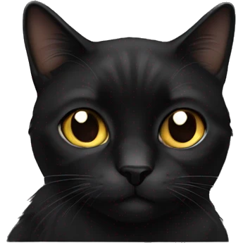 Black longhaired cat emoji