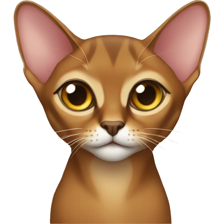  Abyssinian cat emoji