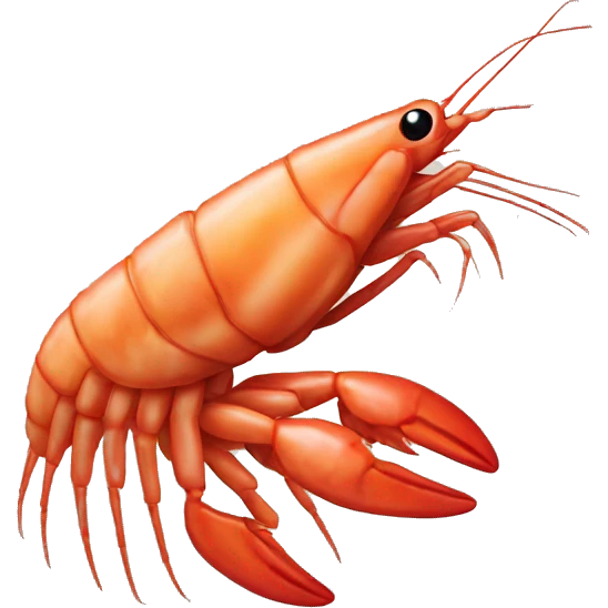 Shrimp emoji