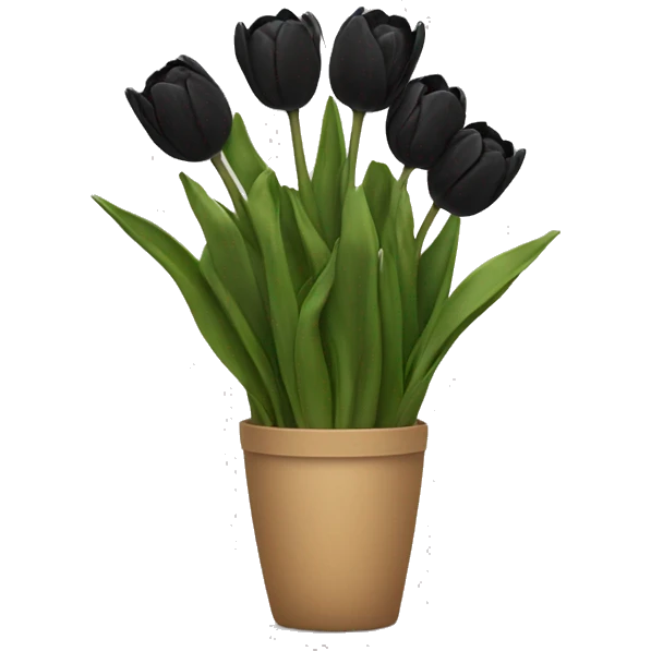 Black tulips bouqet emoji