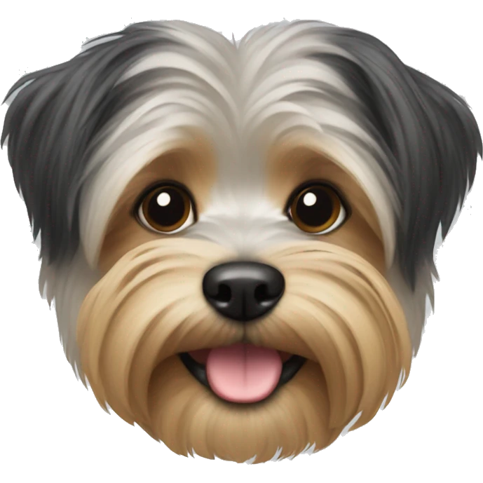 A morkie emoji emoji