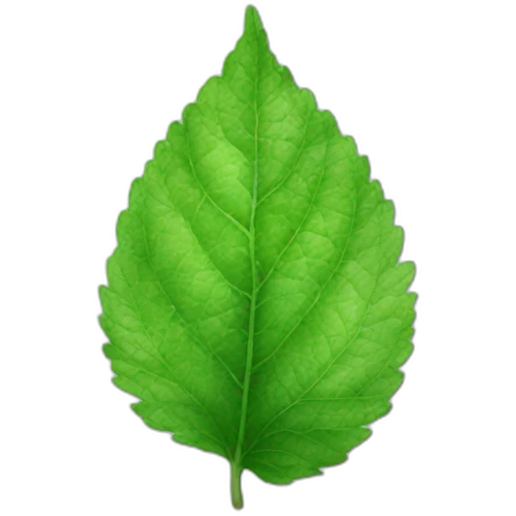 peppermint leaves  emoji