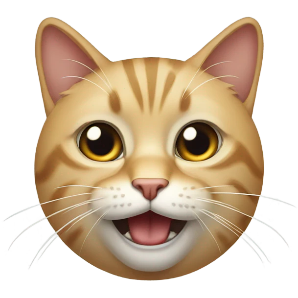Cat unsure  emoji
