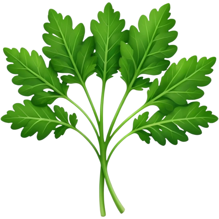 single fresh parsley leaf, bright green, detailed serrated edges, delicate natural curves, slight gloss on surface, fine central vein structure, gently branching lobes, no stem bunch, no background, soft lighting, subtle shadows, emoji scale emoji