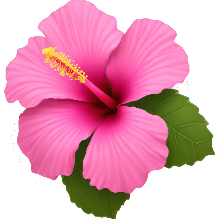 pink hibiscus flower  emoji