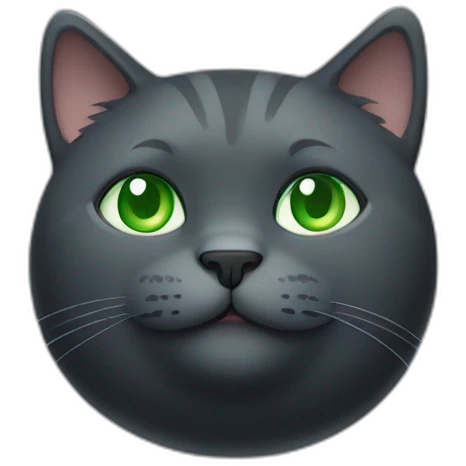 happy dark grey fat cat with green eyes emoji