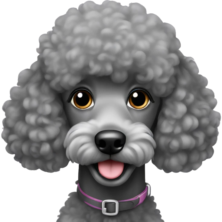 grey poodle beautiful emoji