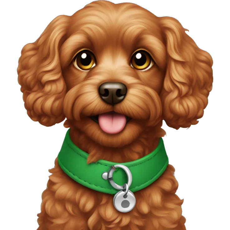 Red cavapoo with green collar emoji