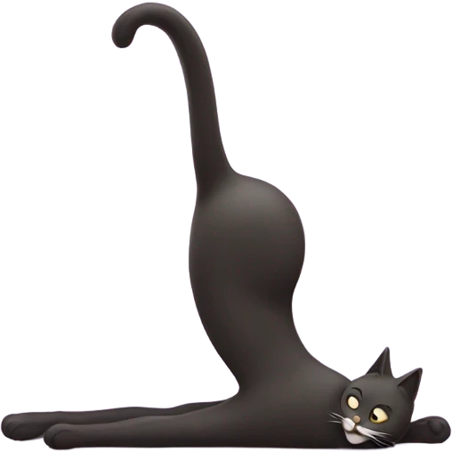 Pilates cat emoji