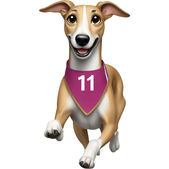 Greyhound running with sash with number 1 emoji