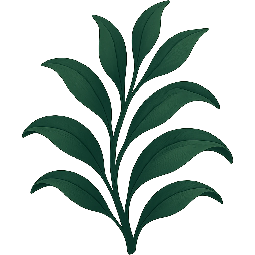 dark green organic plant, stylized, smooth lines, rich green tones, no background emoji