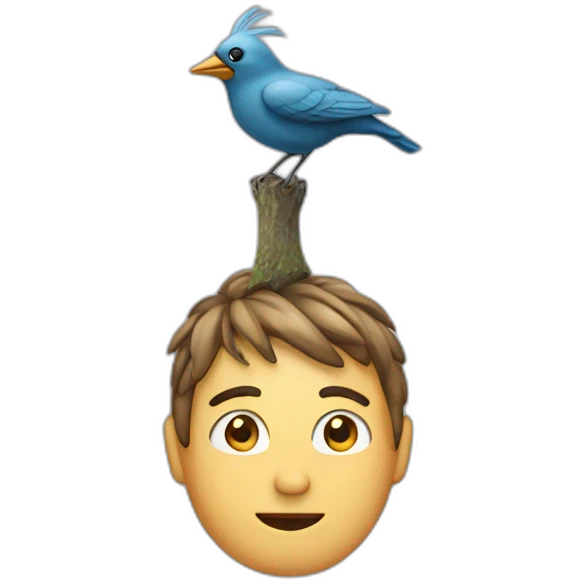 person with a bird on his head emoji