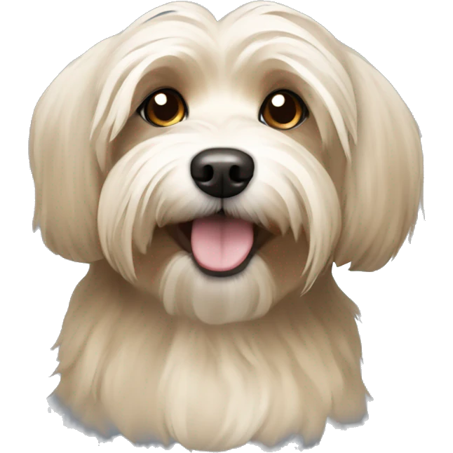 Tan havanese dog emoji