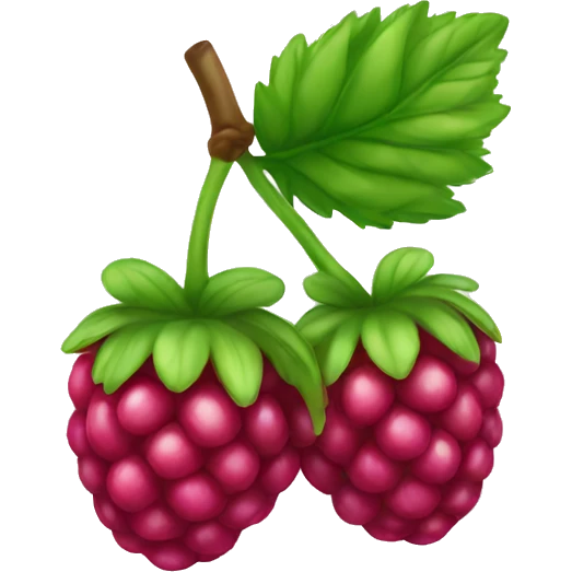 Rainbow raspberry  emoji