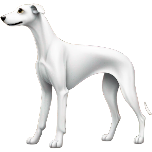 Greyhound in Italy  emoji