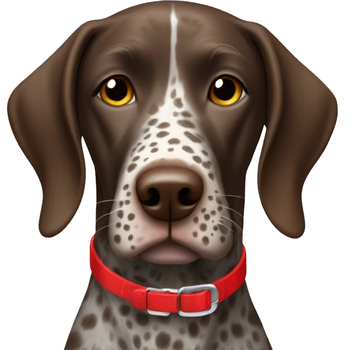Brown spotted German short haired pointer  with ticking with red collar  emoji