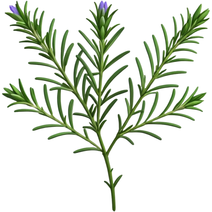 ultra realistic rosemary with flower single stem emoji