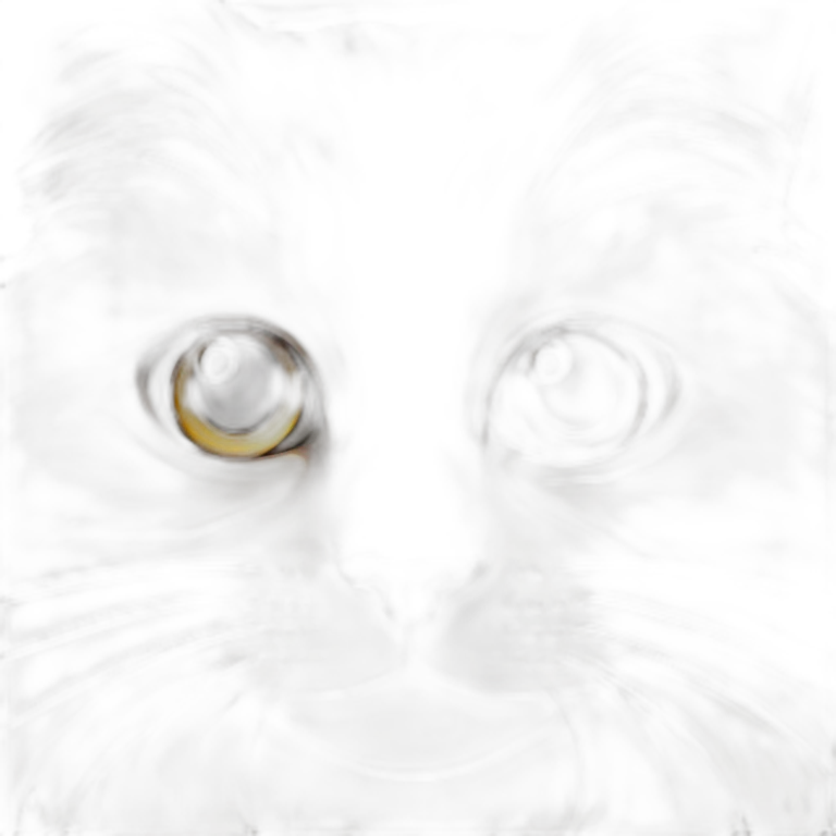 cat maine coon emoji