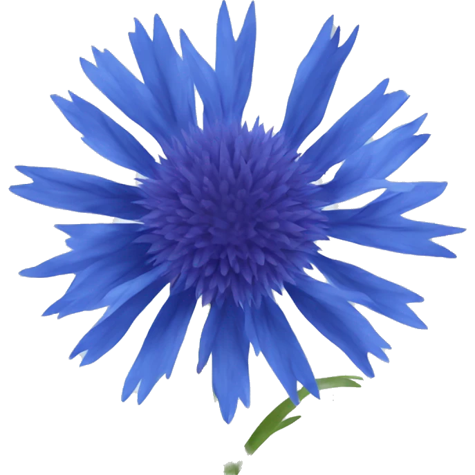 Cornflower emoji