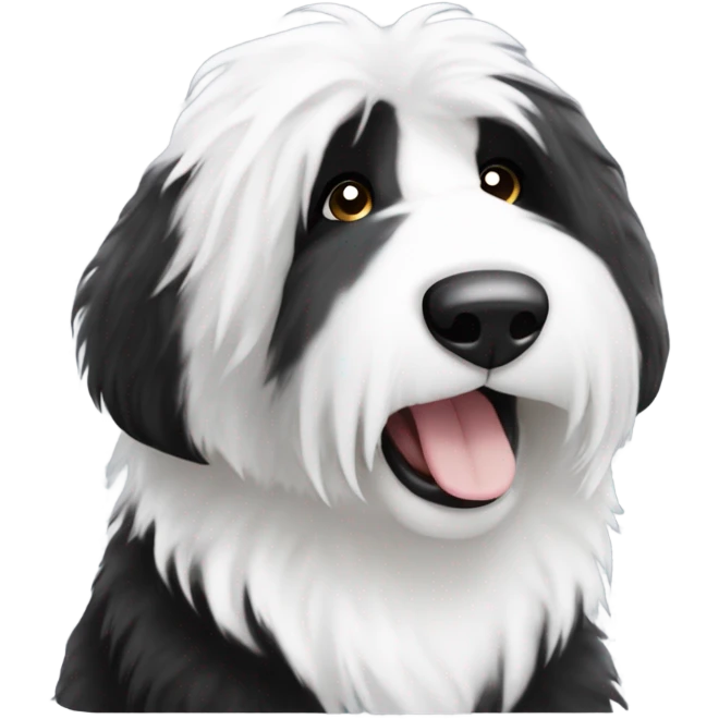 Old English sheepdog with a half and half face like a black and white cookie emoji