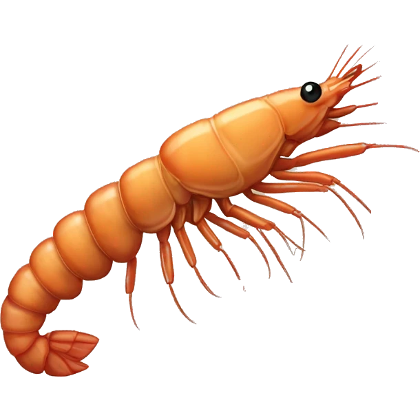 Big-faced shrimp
Big-armed shrimp
Fat-bellied shrimp
Big shrimp emoji
