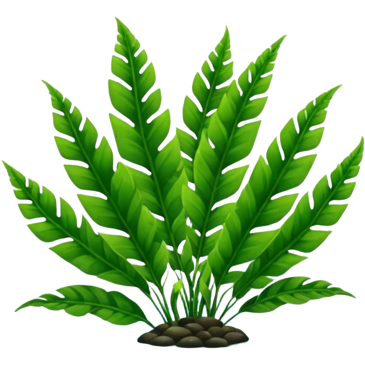 java fern emoji
