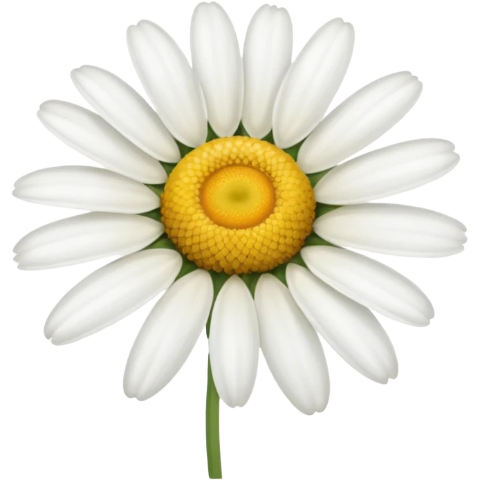 chamomile emoji