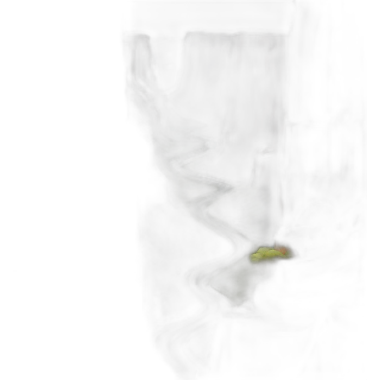 canyon speedmax emoji