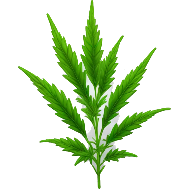 Sativa plant  emoji