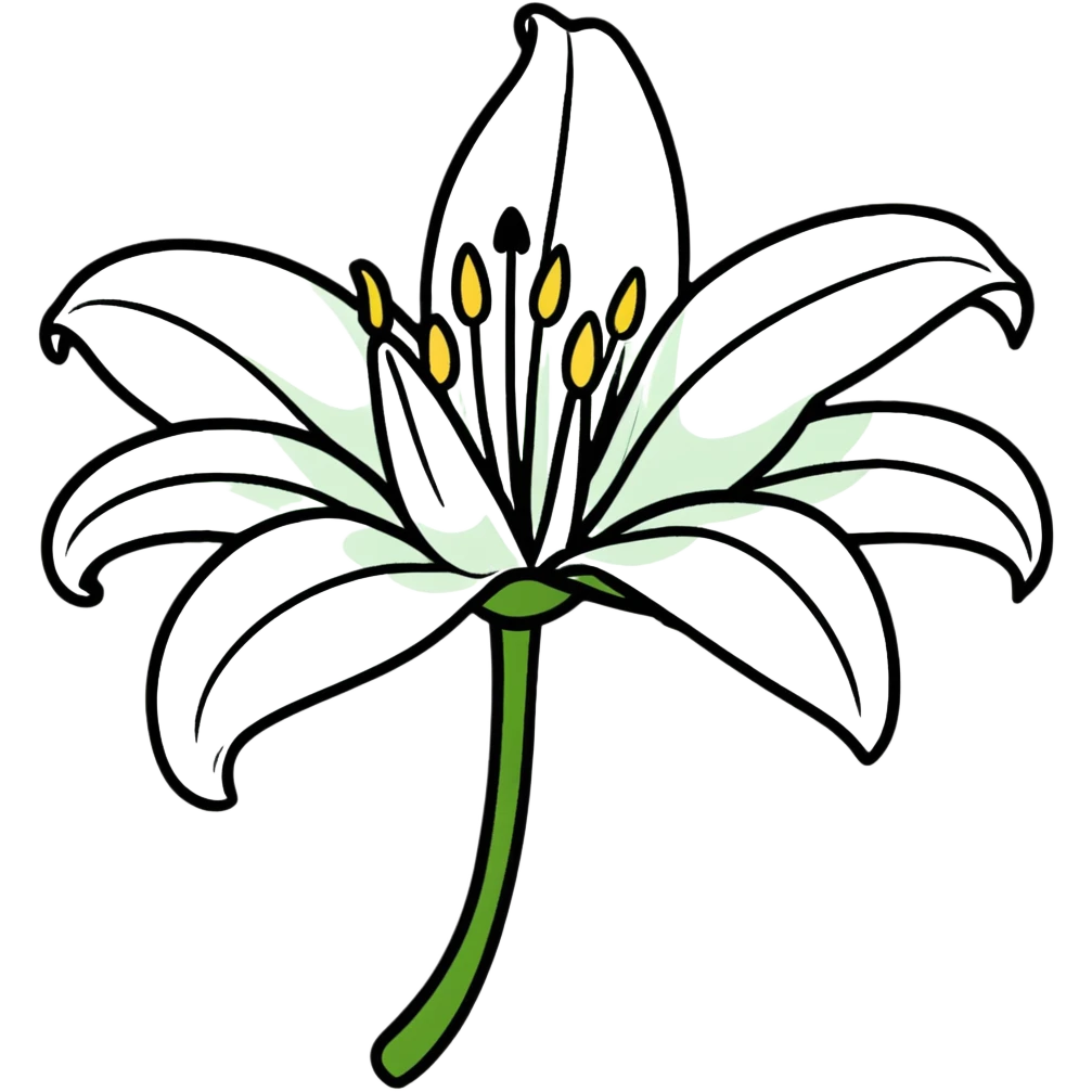 Pure white lily flower with accurate six-petal structure, visible stamens, and green foliage emoji