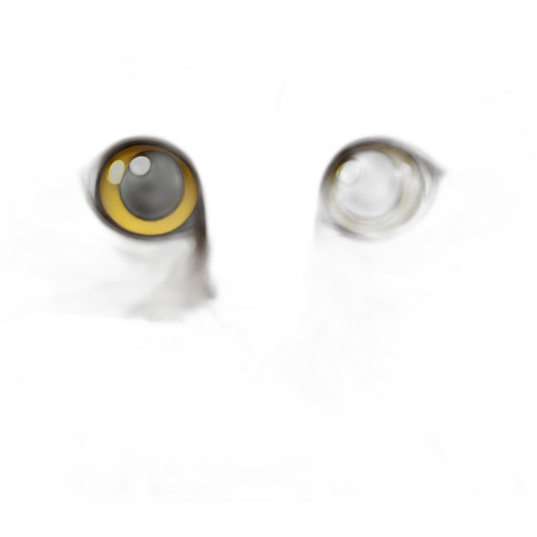 Norwegian forest cat emoji