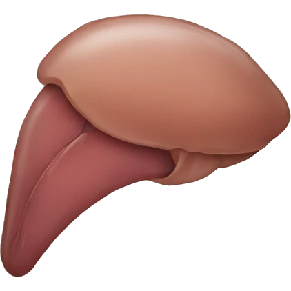 liver emoji
