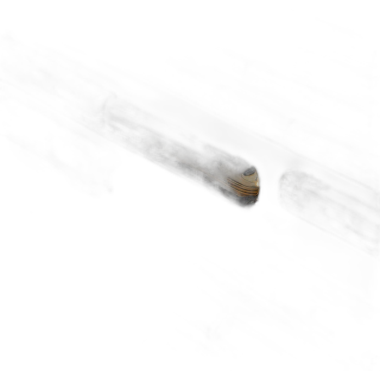 Train emoji