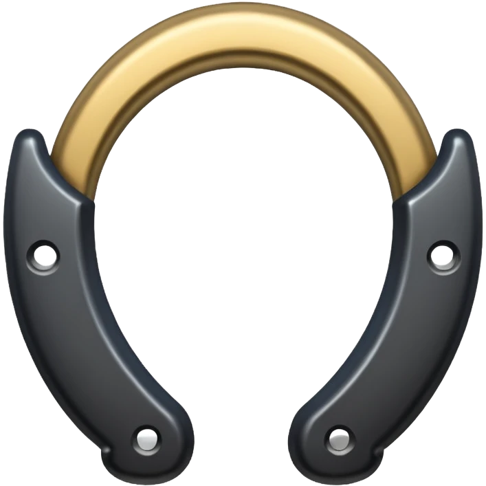 Horseshoe black emoji