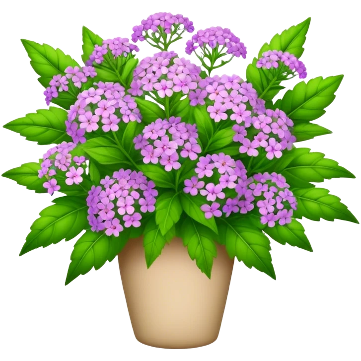 big bouquet verbena flower, leaf emoji